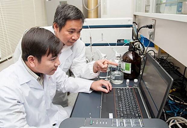 Vietnamese scientist finds anti-cancer compounds from rice husks